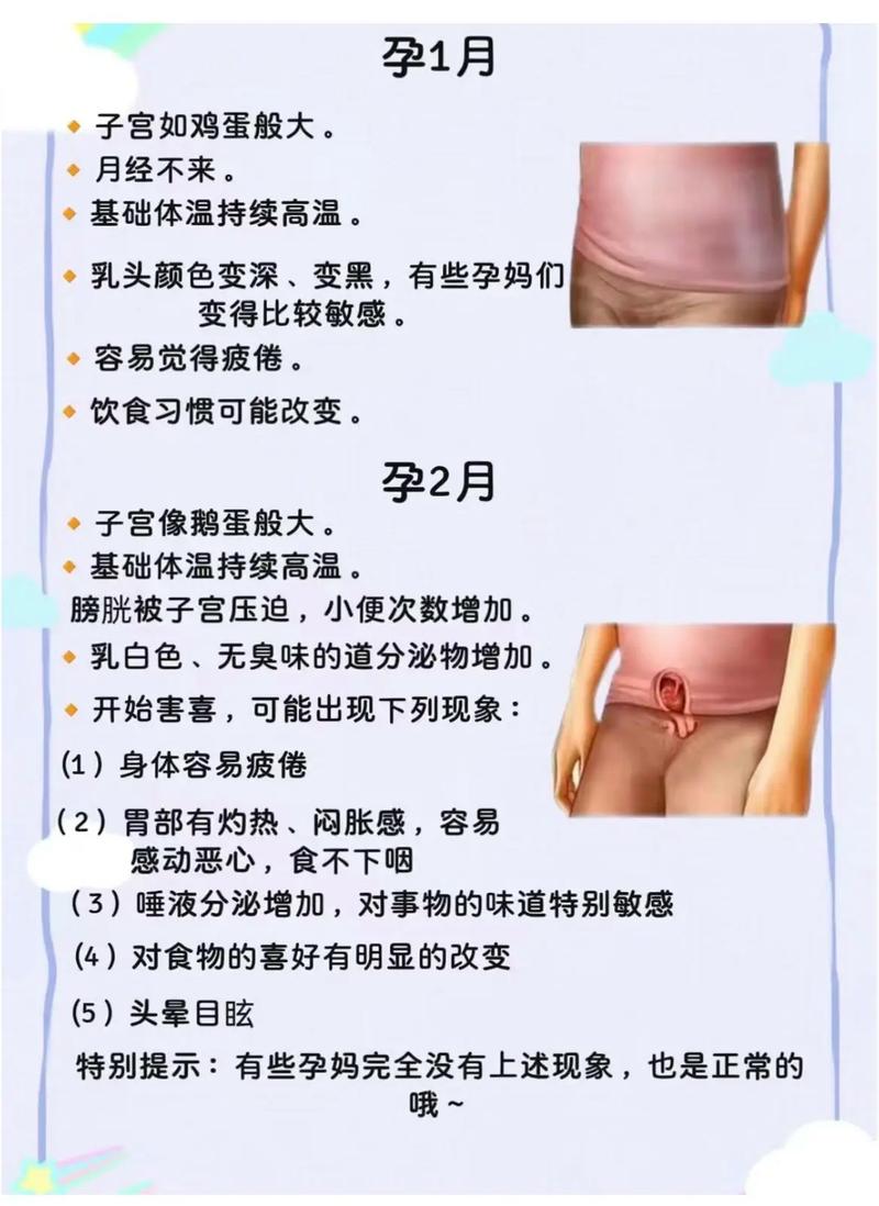 女明星怀孕的综艺节目叫什么_现在已怀孕的女明星_怀孕明星哪个最漂亮