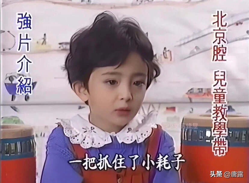 娱乐圈小说有杨幂_85花现状分析_杨幂演技转型