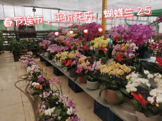 卖楼花合法性_楼花之都在线观看_商品房预售条件